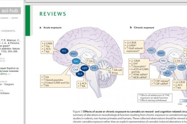 Ссылка на сайт кракен в тор браузере